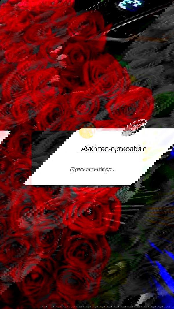 lubensca lubensca archive image