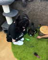 danielle.mercedie Altpins Profile Picture