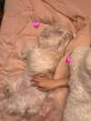 dear.zia Altpins Profile Picture