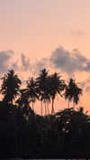 biancanataliie Altpins Profile Picture