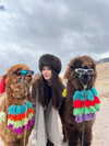 itskatchii Altpins Profile Picture