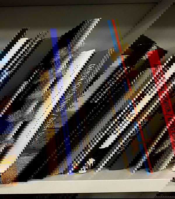 kkulakovaa image ~ Altpins