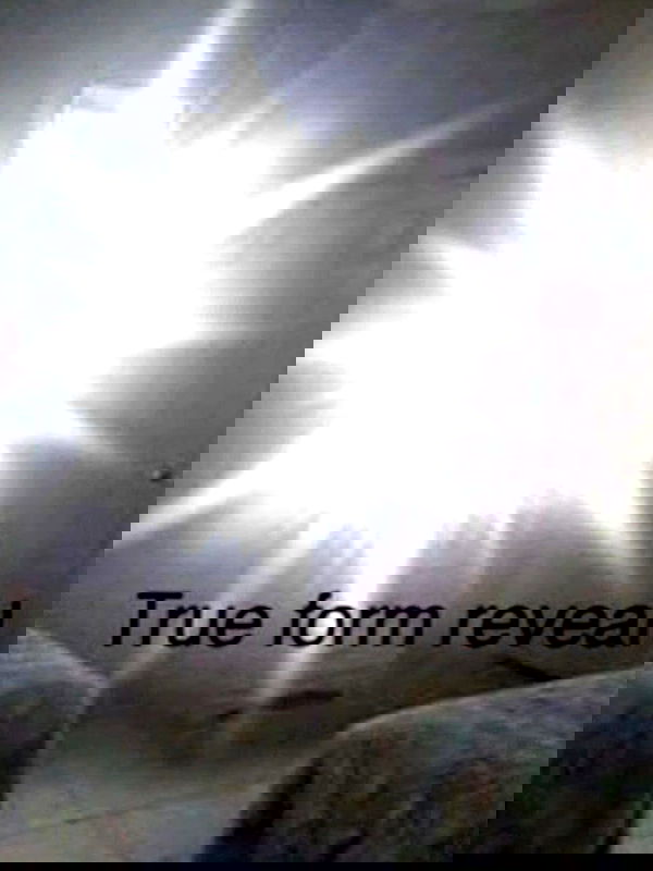 noa_marii noa_marii archive image