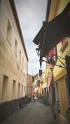 nikoleta.milenova Altpins Profile Picture