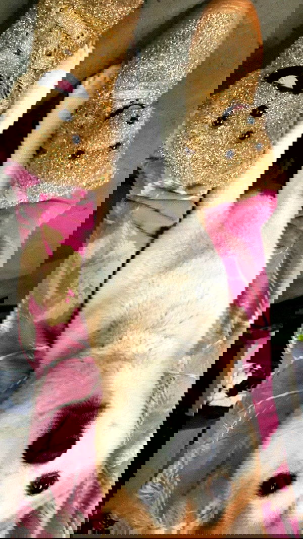 zommmbri zommmbri archive image