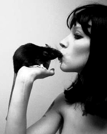 svcriligiosa instagram image archive image
