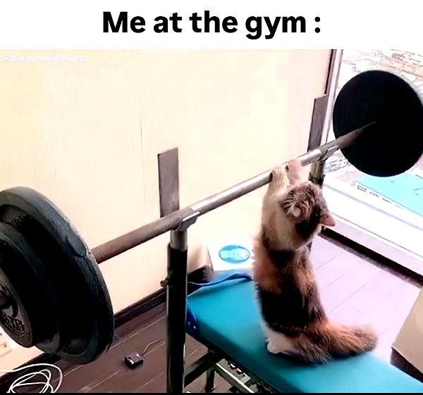 maiden_lifts instagram image archive image