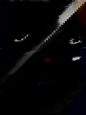 sofykil sofykil archive image