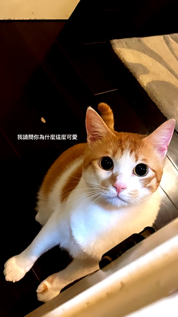 jiw_____n instagram image archive image