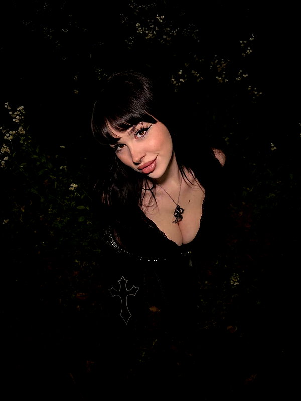 rixiadigivolved archive image