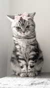 annaemiliaz Altpins Profile Picture