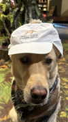 gabbyepstein Altpins Profile Picture