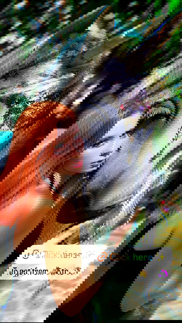 swfx_real swfx_real archive image