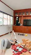 baipobam Altpins Profile Picture