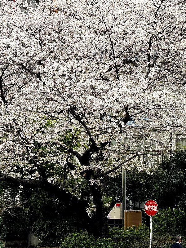 zuhazana instagram image archive image