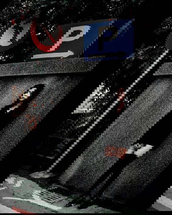 ting851204 ting851204 archive image