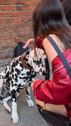 tsarbayeva Altpins Profile Picture