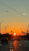 maori_cohen Altpins Profile Picture
