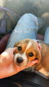 kyla.doddsss Altpins Profile Picture