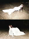 suspiria.em Altpins Profile Picture
