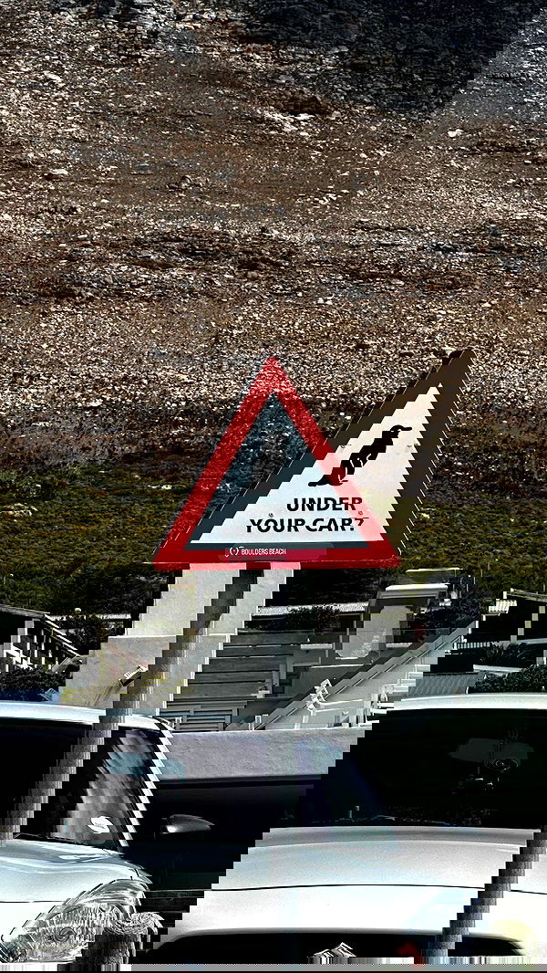 taylor.creeden taylor.creeden archive image