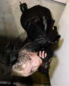 amellliiaa Altpins Profile Picture