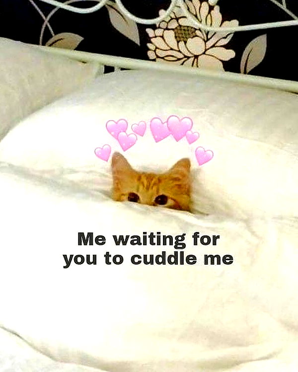milkiwifey instagram image archive image