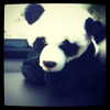 realbarbarapalvin Altpins Profile Picture