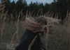 hellyeahma Altpins Profile Picture