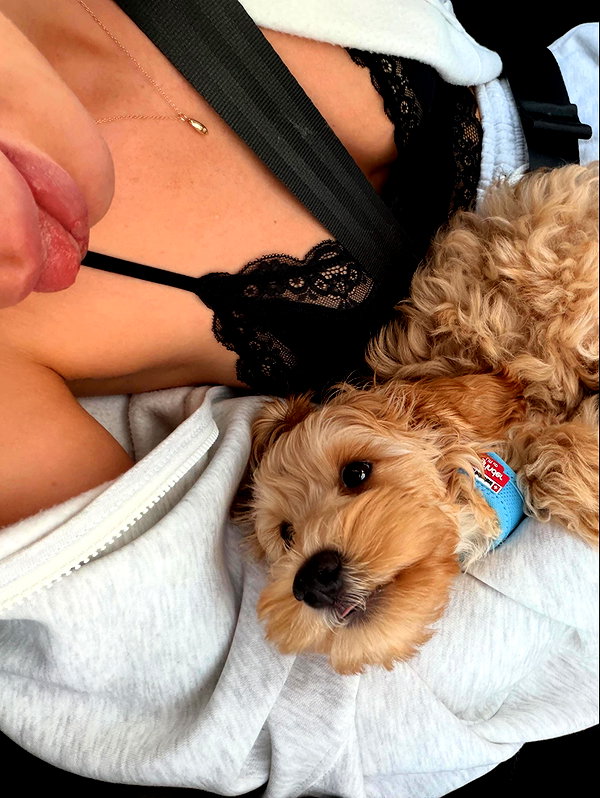sophiecharlotth instagram image archive image