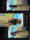 quenhi.phamm Altpins Profile Picture