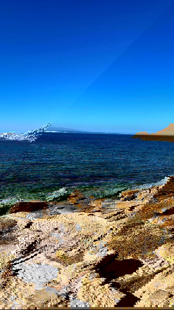 taylor.creeden taylor.creeden archive image