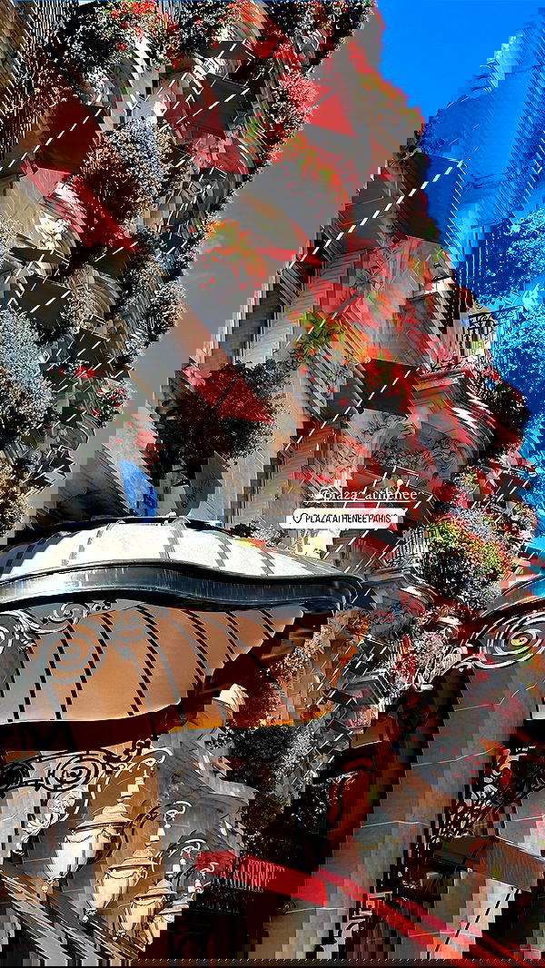 taylor.creeden taylor.creeden archive image