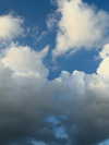 lulymakima Altpins Profile Picture
