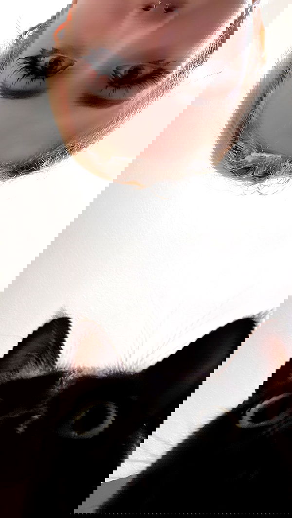 iluvmeww iluvmeww archive image