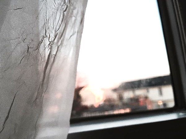 hallucineon instagram image archive image