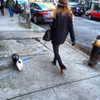 ashleybenson Altpins Profile Picture