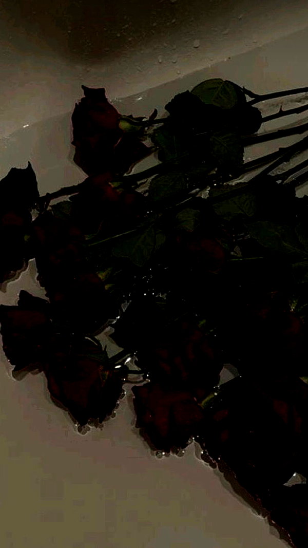 rott3nbambi instagram image archive image