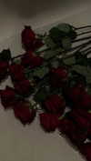 rott3nbambi Altpins Profile Picture