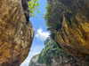 daisy_r_19 Altpins Profile Picture