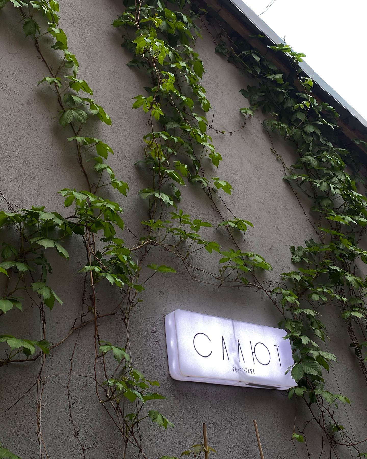 kkulakovaa instagram image archive image