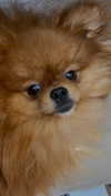 kristti.a Altpins Profile Picture