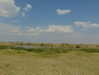 martinagiiuliani Altpins Profile Picture