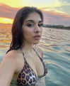 owlydiaa Altpins Profile Picture