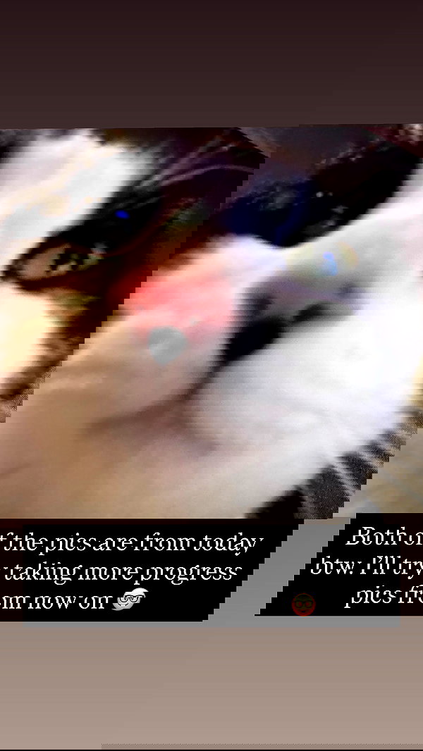 milkgore milkgore archive image