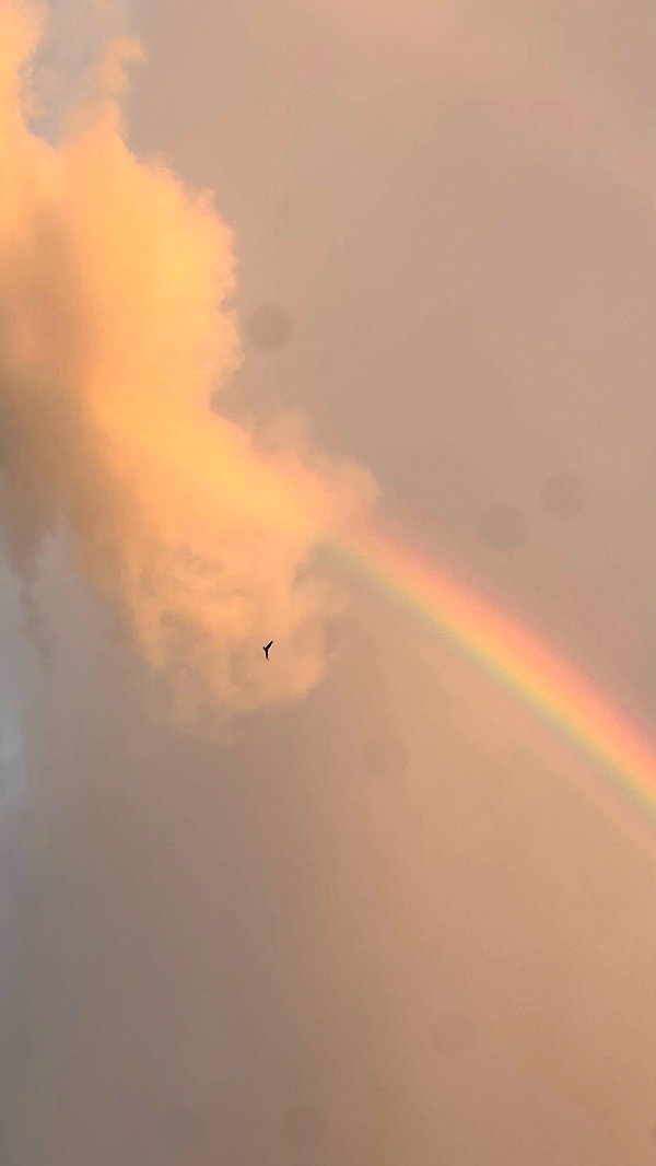 lishai_halevi instagram image archive image
