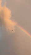 lishai_halevi Altpins Profile Picture