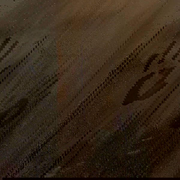 annfigmax image ~ Altpins