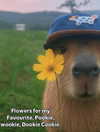 ellaexplicit_ Altpins Profile Picture