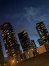 _m_a_y_c_ Altpins Profile Picture